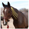 Kinesio Equine plastry do tapingu koni