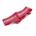 Miniband PINOFIT